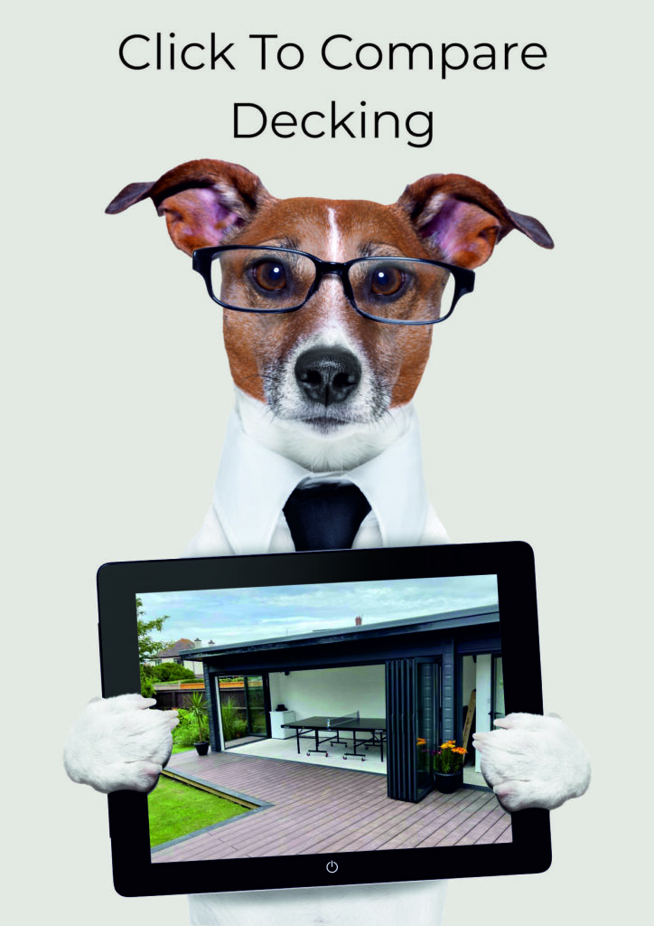 Dog with glasses holding tablet showing