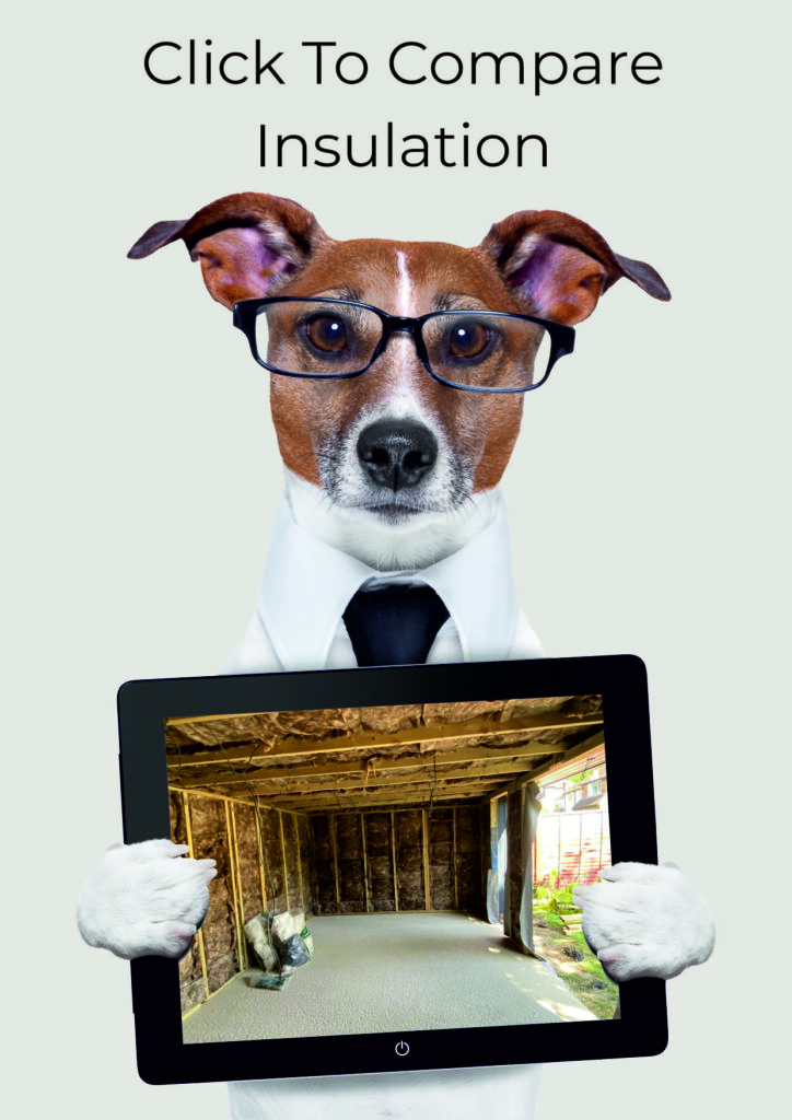 Dog with glasses holding tablet showing