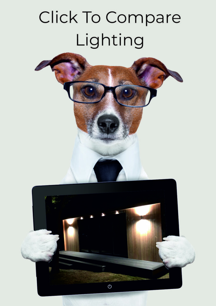 Dog with glasses holding tablet showing Lighting in a garden room
