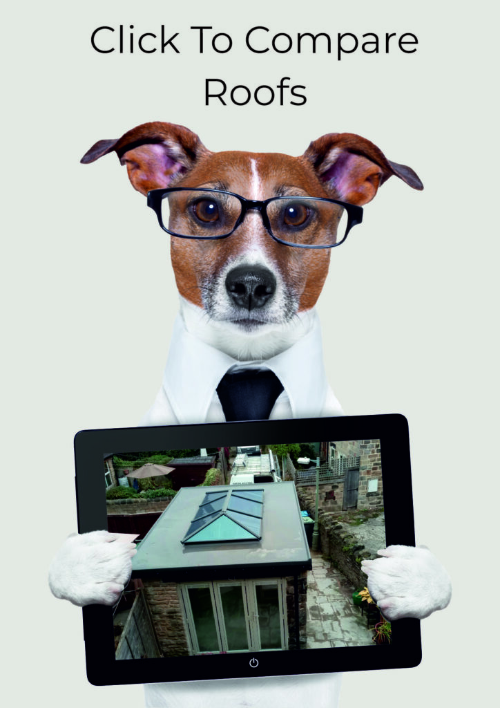 Dog with glasses holding tablet showing image Garden Rooms Roofs