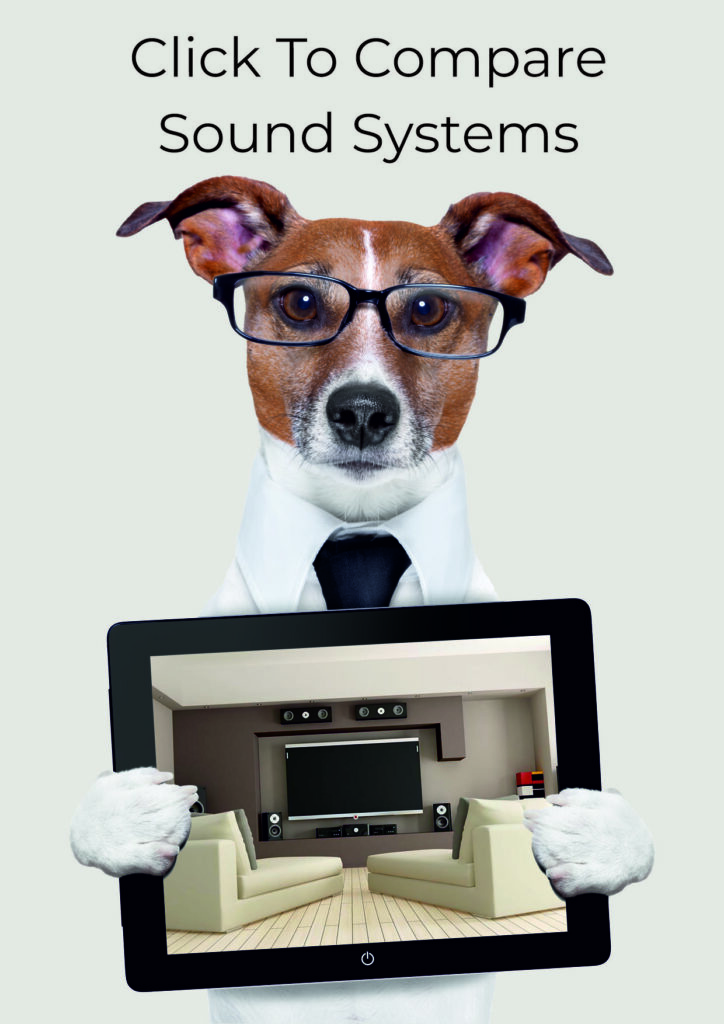 Dog with glasses holding tablet showing Multi-Media Systems inside a garden room