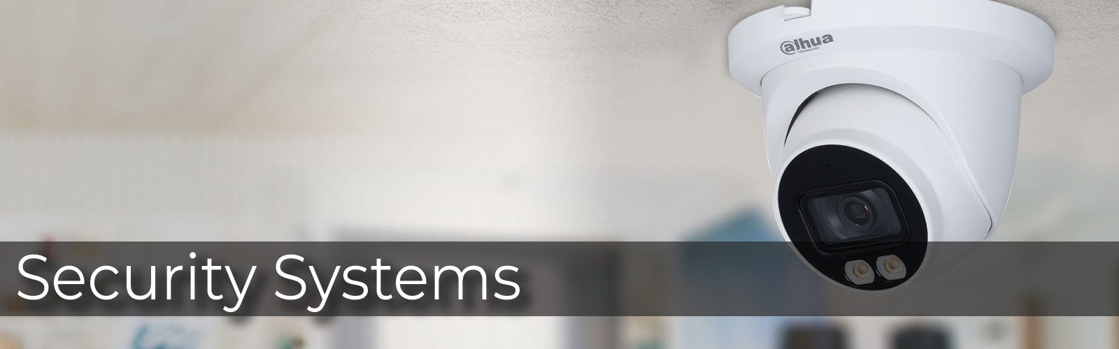 Security-Systems-Banner